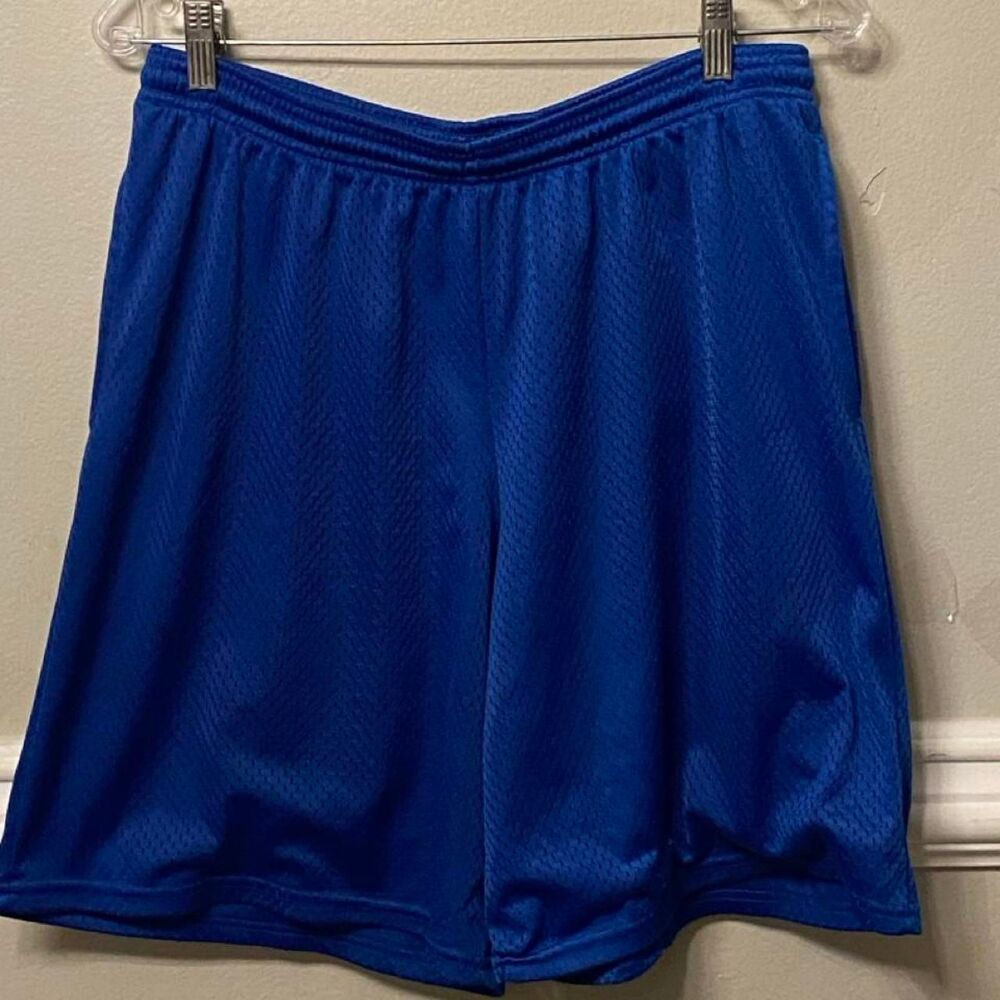 Hanes Men's Blue Shorts